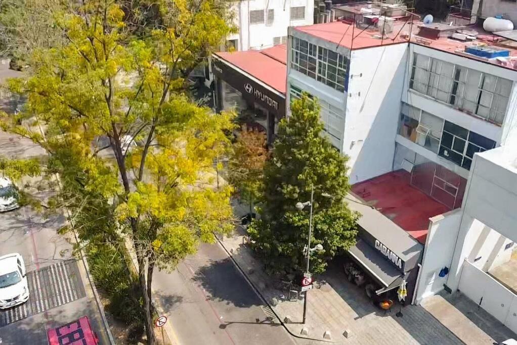 ¡Nuevo! Bamboo Celebrity Villa Mexico City Ngoại thất bức ảnh
